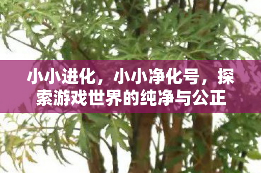 小小进化，小小净化号，探索游戏世界的纯净与公正
