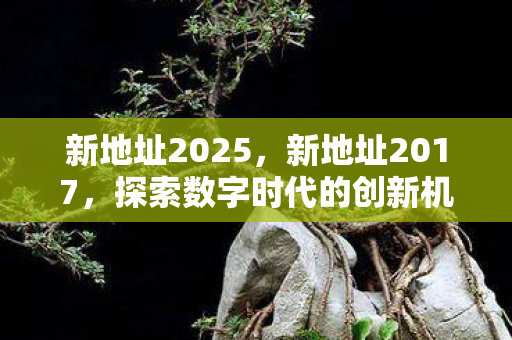新地址2025，新地址2017，探索数字时代的创新机遇