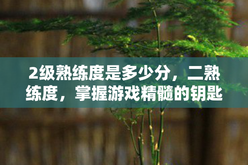2级熟练度是多少分，二熟练度，掌握游戏精髓的钥匙