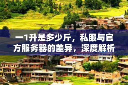 一1升是多少斤，私服与官方服务器的差异，深度解析游戏环境差异