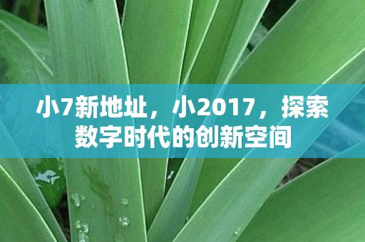 小7新地址，小2017，探索数字时代的创新空间