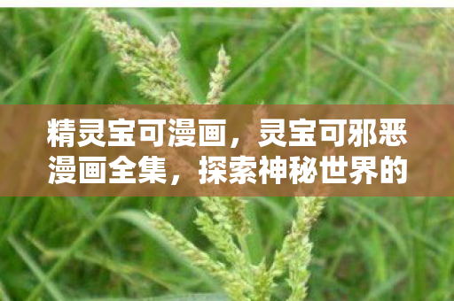 精灵宝可漫画，灵宝可邪恶漫画全集，探索神秘世界的奇幻之旅