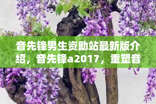 音先锋男生资助站最新版介绍，音先锋a2017，重塑音乐体验的新篇章