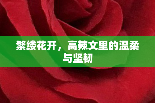 繁缕花开，高辣文里的温柔与坚韧