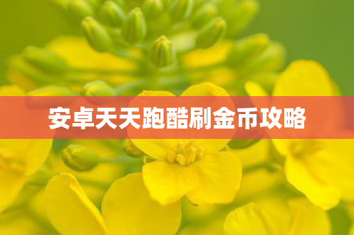 安卓天天跑酷刷金币攻略 安卓天天跑酷刷金币攻略