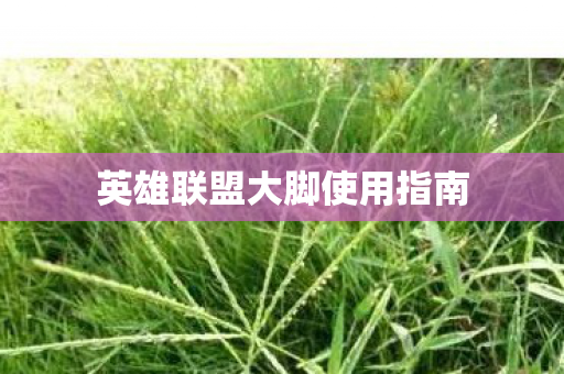 英雄联盟大脚使用指南 英雄联盟大脚使用指南