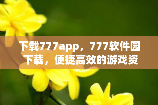 下载777app，777软件园 下载，便捷高效的游戏资源获取平台