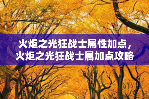 火炬之光狂战士属性加点，火炬之光狂战士属加点攻略，打造最强战斗狂