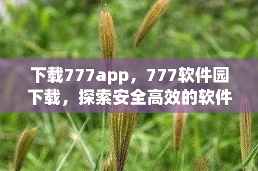 下载777app，777软件园下载，探索安全高效的软件获取新途径