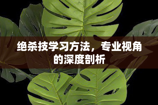 绝杀技学习方法，专业视角的深度剖析
