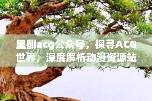 里翻acg公众号，探寻ACG世界，深度解析动漫资源站的魅力与选择