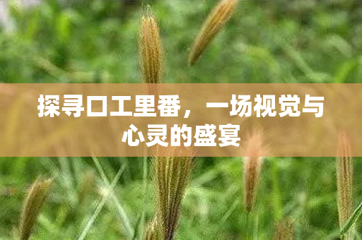 探寻口工里番，一场视觉与心灵的盛宴