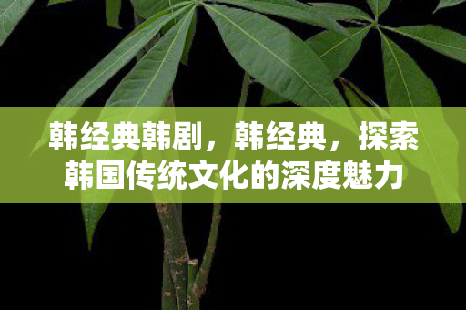 韩经典韩剧，韩经典，探索韩国传统文化的深度魅力
