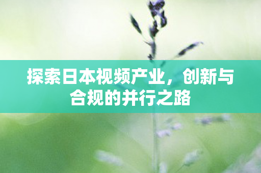 探索日本视频产业,创新与合规的并行之路 探索日本视频产业,创新与合规的并行之路