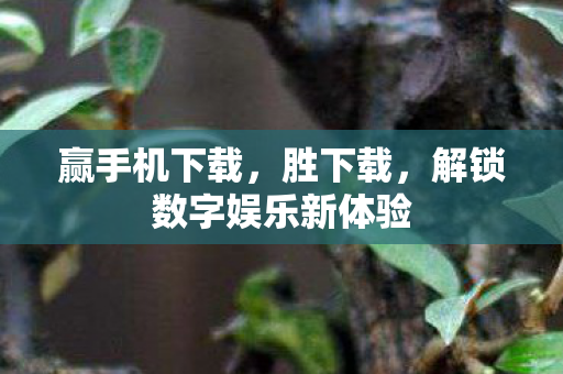 赢手机下载，胜下载，解锁数字娱乐新体验