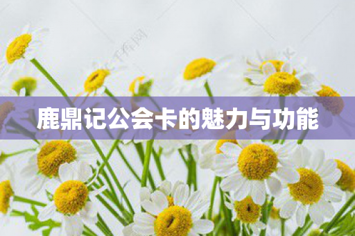 鹿鼎记公会卡的魅力与功能 鹿鼎记公会卡的魅力与功能