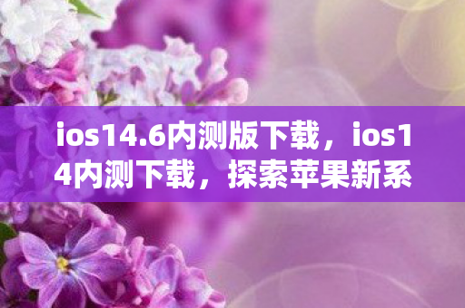 ios14.6内测版下载，ios14内测下载，探索苹果新系统的独特魅力