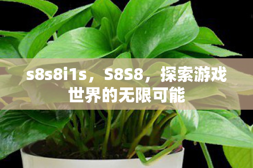 s8s8i1s，S8S8，探索游戏世界的无限可能