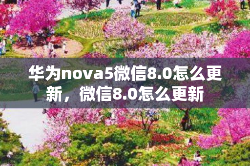 华为nova5微信8.0怎么更新，微信8.0怎么更新