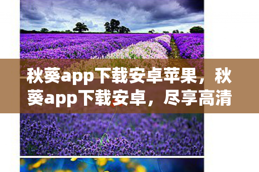 秋葵app下载安卓苹果，秋葵app下载安卓，尽享高清影视盛宴