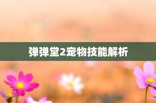 弹弹堂2宠物技能解析 弹弹堂2宠物技能解析
