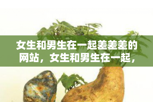 女生和男生在一起差差差的网站，女生和男生在一起，探索情感与关系的深度