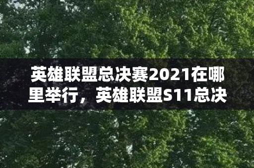 英雄联盟总决赛2021在哪里举行，英雄联盟S11总决赛地点揭晓，冰岛雷克雅未克