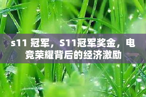 s11 冠军，S11冠军奖金，电竞荣耀背后的经济激励