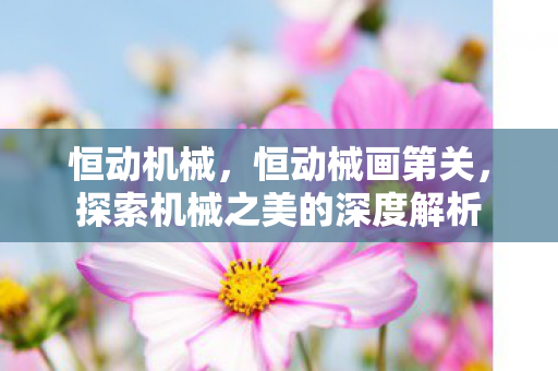 恒动机械，恒动械画第关，探索机械之美的深度解析