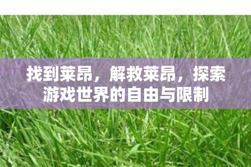 找到莱昂，解救莱昂，探索游戏世界的自由与限制