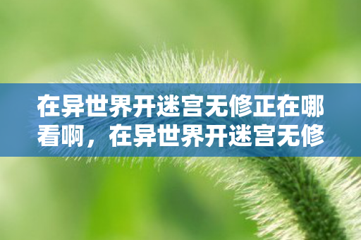 在异世界开迷宫无修正在哪看啊，在异世界开迷宫无修，探索未知，挑战极限