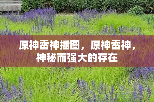 原神雷神插图，原神雷神，神秘而强大的存在
