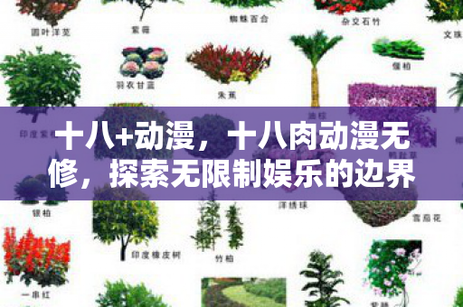 十八+动漫，十八肉动漫无修，探索无限制娱乐的边界