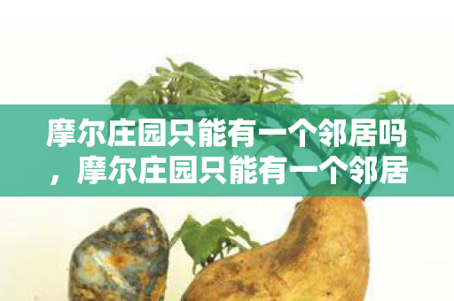 摩尔庄园只能有一个邻居吗，摩尔庄园只能有一个邻居吗？