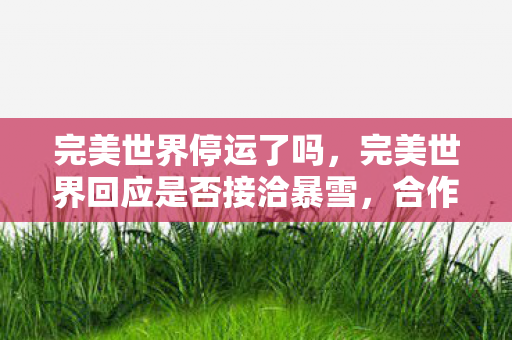 完美世界停运了吗，完美世界回应是否接洽暴雪，合作背后的考量与未来展望