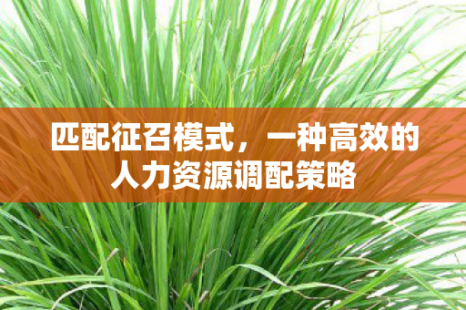匹配征召模式,一种高效的人力资源调配策略 匹配征召模式,一种高效的人力资源调配策略