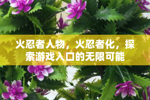 火忍者人物，火忍者化，探索游戏入口的无限可能
