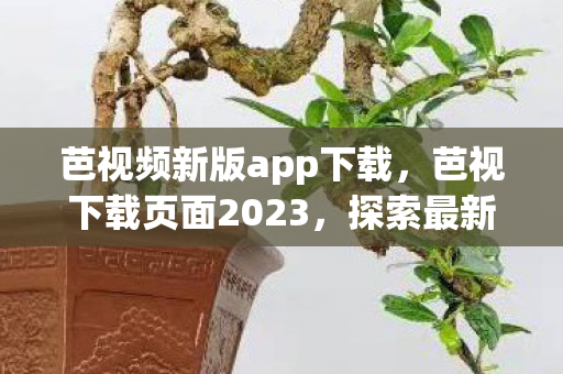 芭视频新版app下载，芭视下载页面2023，探索最新娱乐内容，畅享高清视听盛宴