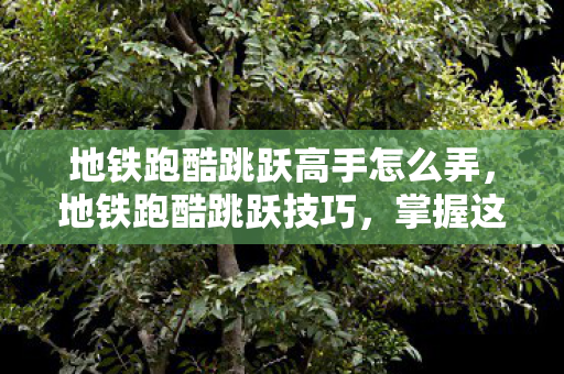 地铁跑酷跳跃高手怎么弄，地铁跑酷跳跃技巧，掌握这些技巧，让你在赛道上如虎添翼