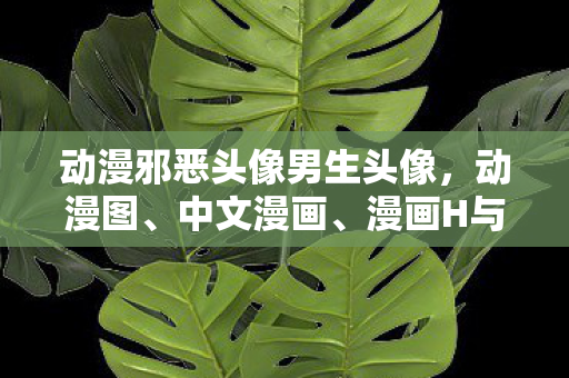 动漫邪恶头像男生头像，动漫图、中文漫画、漫画H与邪恶漫画，探索多元世界的艺术之旅