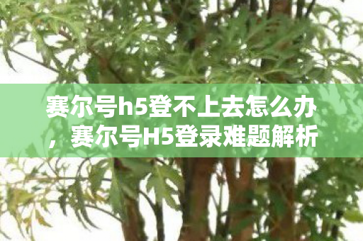 赛尔号h5登不上去怎么办，赛尔号H5登录难题解析