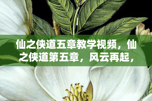 仙之侠道五章教学视频，仙之侠道第五章，风云再起，江湖路远