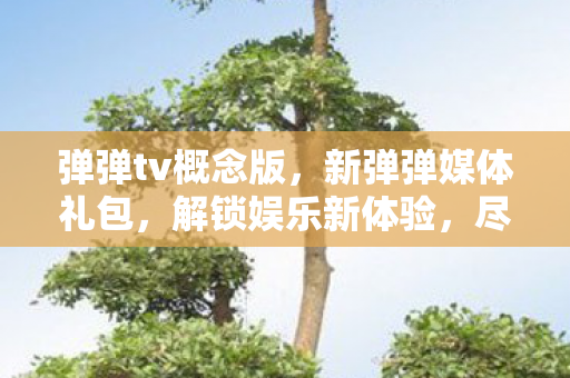 弹弹tv概念版，新弹弹媒体礼包，解锁娱乐新体验，尽享无限乐趣