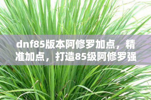 dnf85版本阿修罗加点，精准加点，打造85级阿修罗强者之路