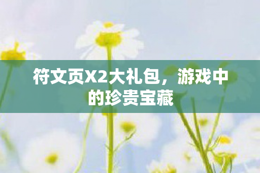 符文页X2大礼包，游戏中的珍贵宝藏
