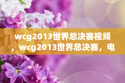 wcg2013世界总决赛视频，wcg2013世界总决赛，电竞传奇的巅峰对决