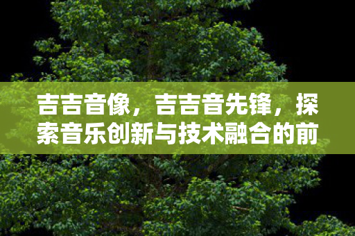 吉吉音像，吉吉音先锋，探索音乐创新与技术融合的前沿阵地
