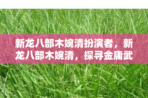 新龙八部木婉清扮演者，新龙八部木婉清，探寻金庸武侠世界的柔情侠骨