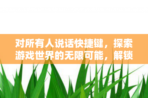 对所有人说话快捷键，探索游戏世界的无限可能，解锁所有说话快捷键的奇妙之旅