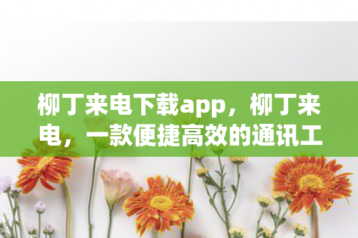 柳丁来电下载app，柳丁来电，一款便捷高效的通讯工具